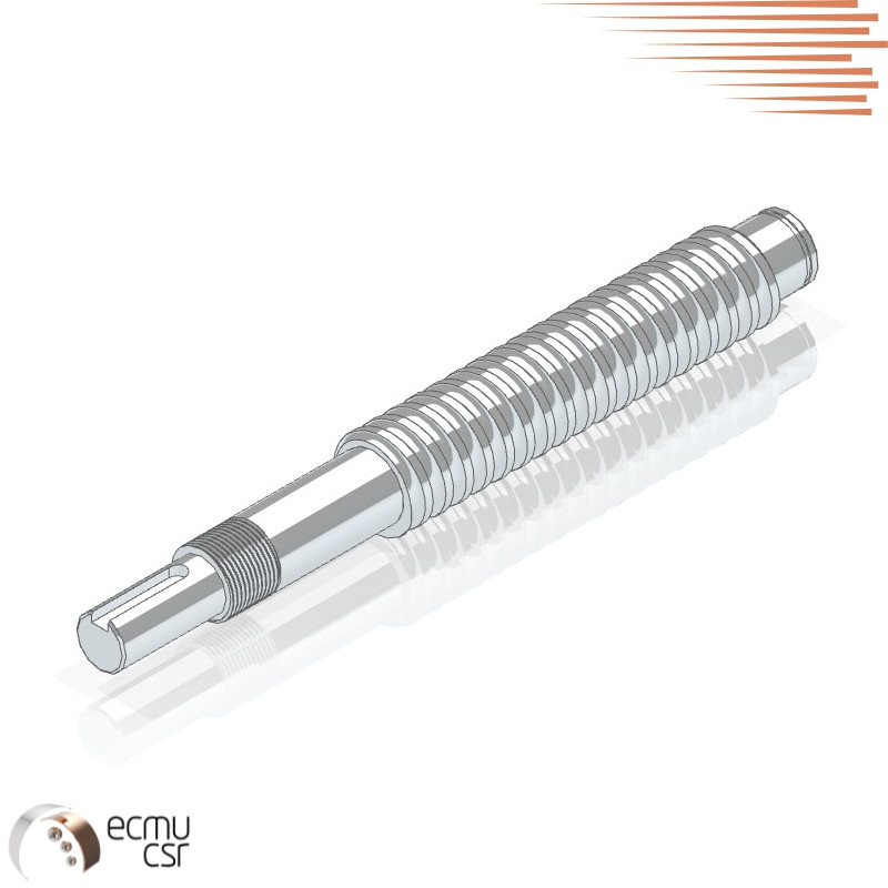 vis à billes R20x05 VFS + U (F+S)